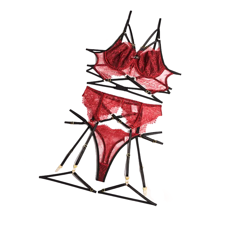Sheer Bra Lace - مجموعة ملابس داخلية مثيرة من الدانتيل